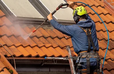 Démoussage et hydrofuge de toiture à Beleymas